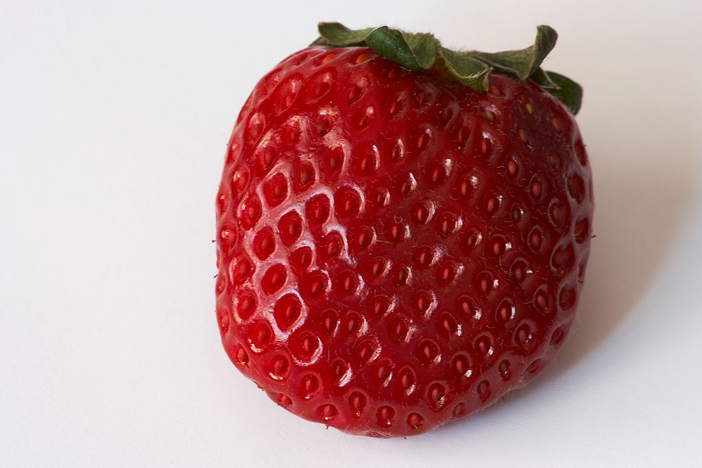 Strawberry. (Cadiz, Spain)